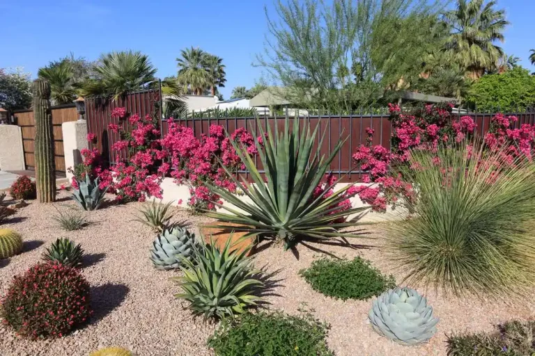 Luxury Xeriscaping Installation Services: Transform Your Outdoor Space with Sustainable Elegance