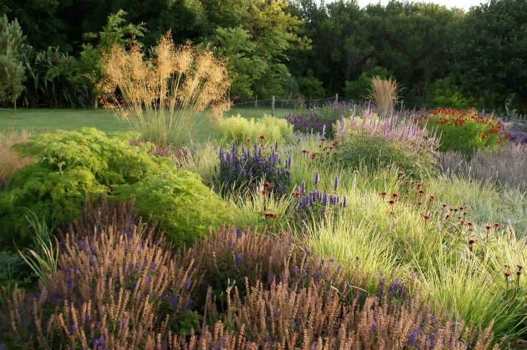 Native Plant Landscaping for Upscale Properties: Elegance, Ecology & Value