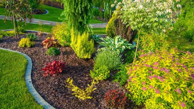 Native Plant Landscape Design Services: Elevate Your Property with Ecological Elegance