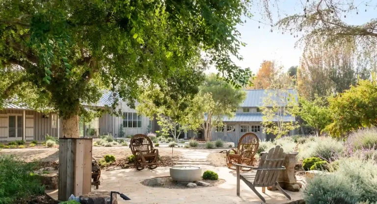 Sustainable Landscaping Design: Eco-Friendly Products & Techniques for a Greener Yard